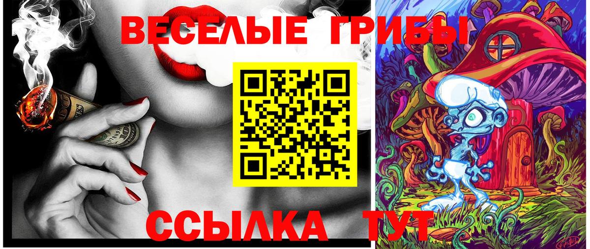 Кулебаки  Галлюциногенные грибы мицелий  наркотики  Вход с VPN  Псилоцибиновые грибы Psilocybe 